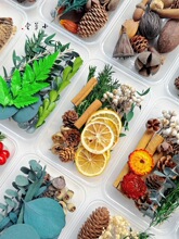 �ֹ�diy���ϰ����b������Ȼֲ��ɻ��}�Q�ɹ��׃��@ɭϵ�h���b�