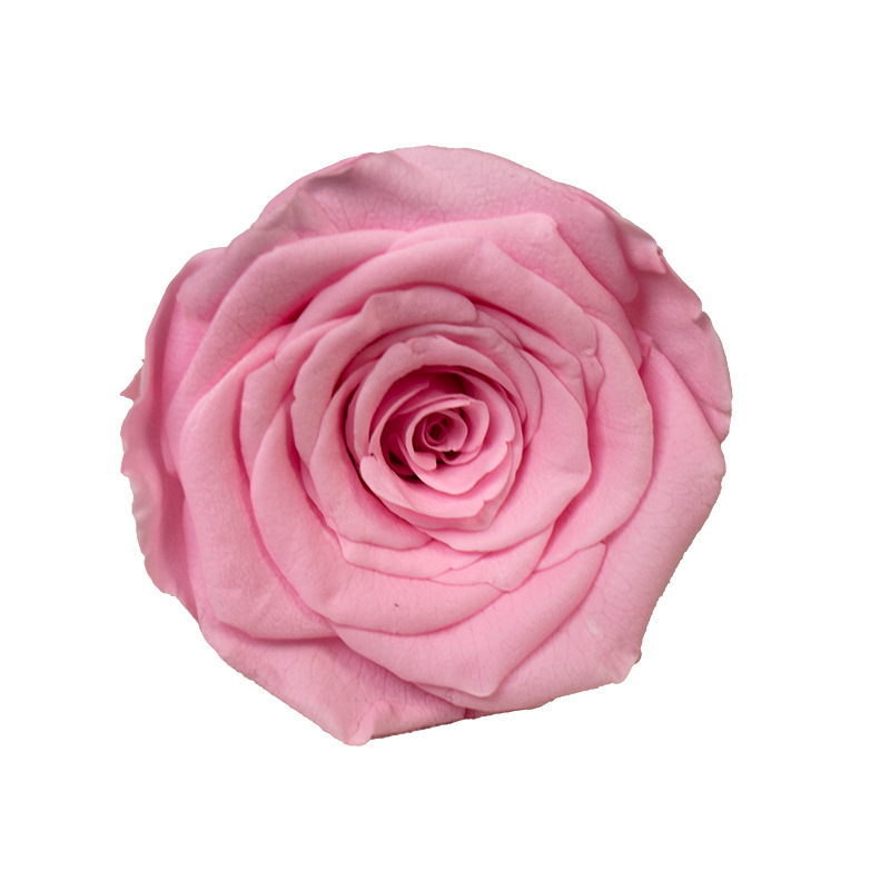 4-5cm 8 Flores, grado B DIY flores eternas, rosas eternas, Yunnan Kunming al por mayor, flores preservadas