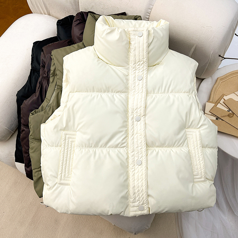2024PU piel simple chaleco de algodón otoño invierno nuevo estilo de estudiantes de estilo extranjero pequeño cuello de collar de color sólido chaqueta coreana mujer image 6