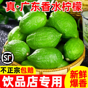 �V�|��ˮ���ʟo��1��5��������ʬFժ�r�����r�����̲�ꌣmw2