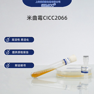 ��������ùCICC2066 �u����� �|�ؾ��� �Ϻ���S