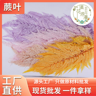 �����������ާ�~�����~�ɻ����W�tֲ���Ĕz�����b�Դ�^���S���l