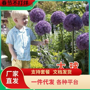 һ�����l���m�M�ڴ��[�N���ʹ����҃������ļ�ͥԺ�Gֲ������