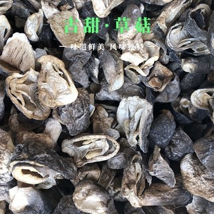 ���� �ɲݹ������� �ݹ�Ƭ ���ڲݹ�����ˮ�ݹ�Ƭ���ݹ����^