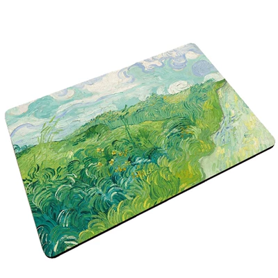 Avtomobil döşəmə paspasları — Bathroom Sink Absorbent Non-Slip Mat