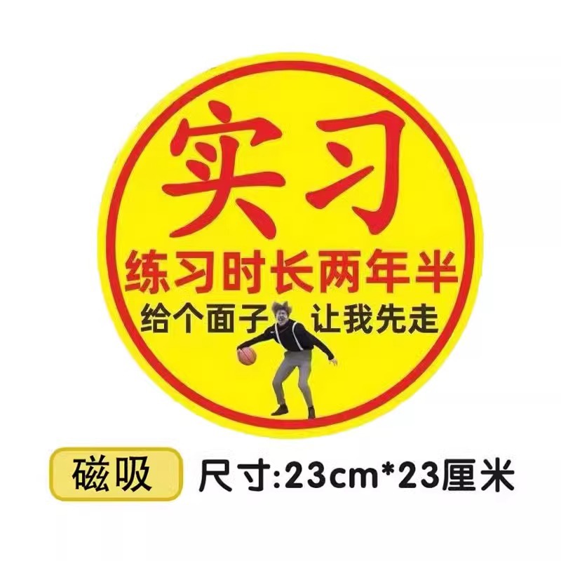 Magnetic suction model/ 23cm [practice lasted two and a half years]