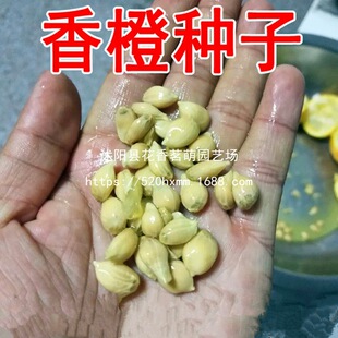 2022�²����ٷN���ך��N���۽ۼt�ٸ�����ȼt���ѻh����ľ��N��