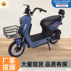メーカーは理想的な成人電動自転車を供給しています。