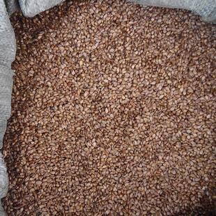 �с����⺣�ķN�Ӽ޽��O���䌣�ú�����ɽ�����Ѯa��ֱ�l���|����