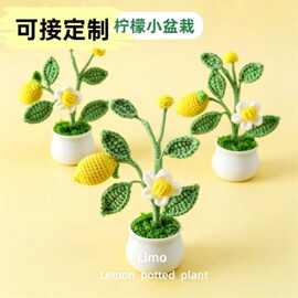 手工编织毛线柠檬钩织水果盆栽成品桌面仿真绿植盆景
