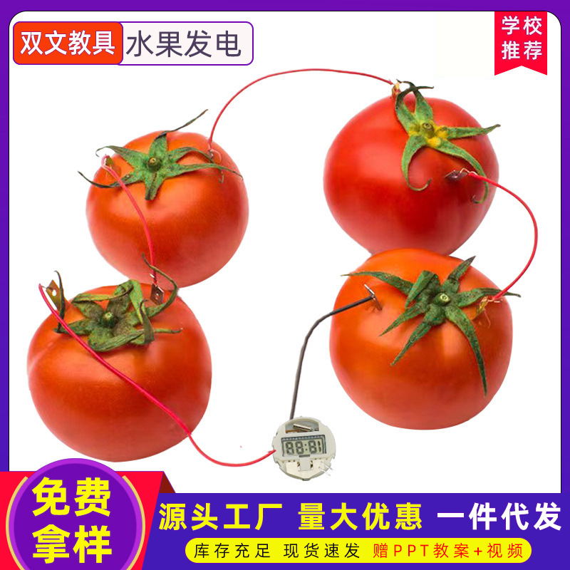 Bricolaje casero fruta batería experimento científico equipo de generación de energía Tecnología pequeña producción invención instrumento material físico