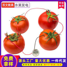 diy自制水果电池科学实验发电器材科技小制作发明仪器物理材料