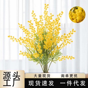 �羳����Ϛg���ٻ�ë�q������˼����c��Ʒ��@�b��ŷ��滨