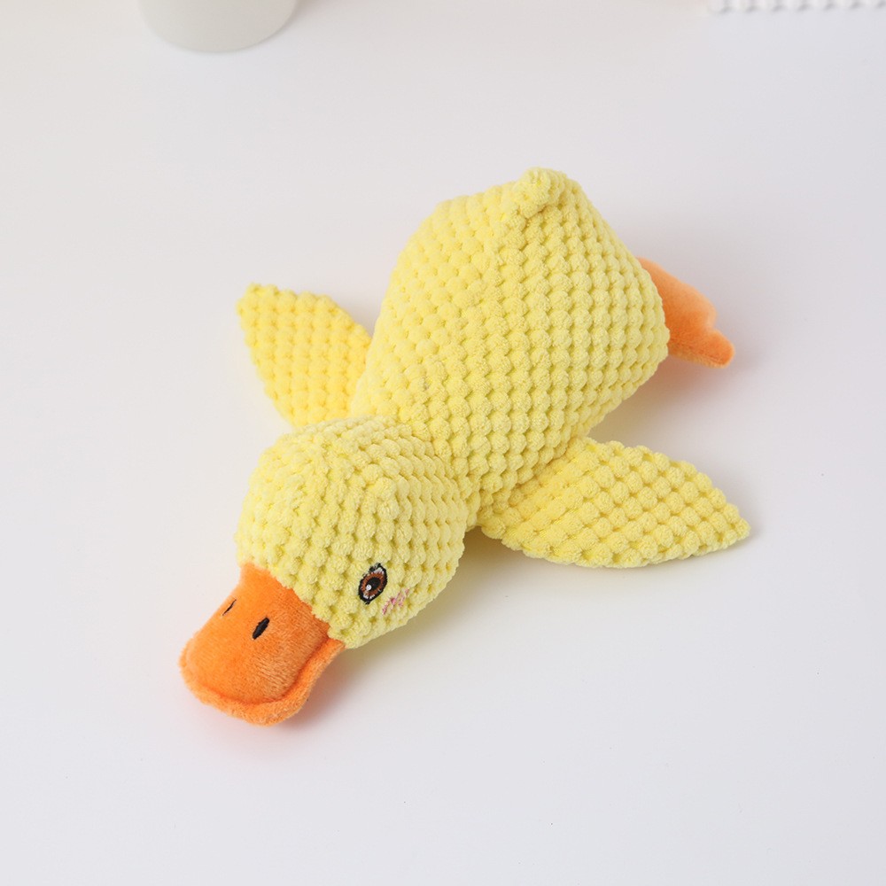 노란 트럼펫(BB라고 함)