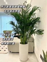 ���FҬ�Ӵ��;Gֲ�����҃ȿ͏d�k���Һ��Bֲ���ļ��������ȩ���w