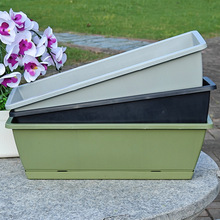 􂐻LlηN˷N̨߲˷NֲԼӴӺϘ֬