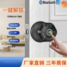 跨境美规涂鸦APP指纹锁球形锁家居室内办公室公寓黑色银色密码锁