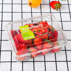 Wholesale supermarket fruit labels PVC transparent self-adhesive laser label printed round fruit label stickers