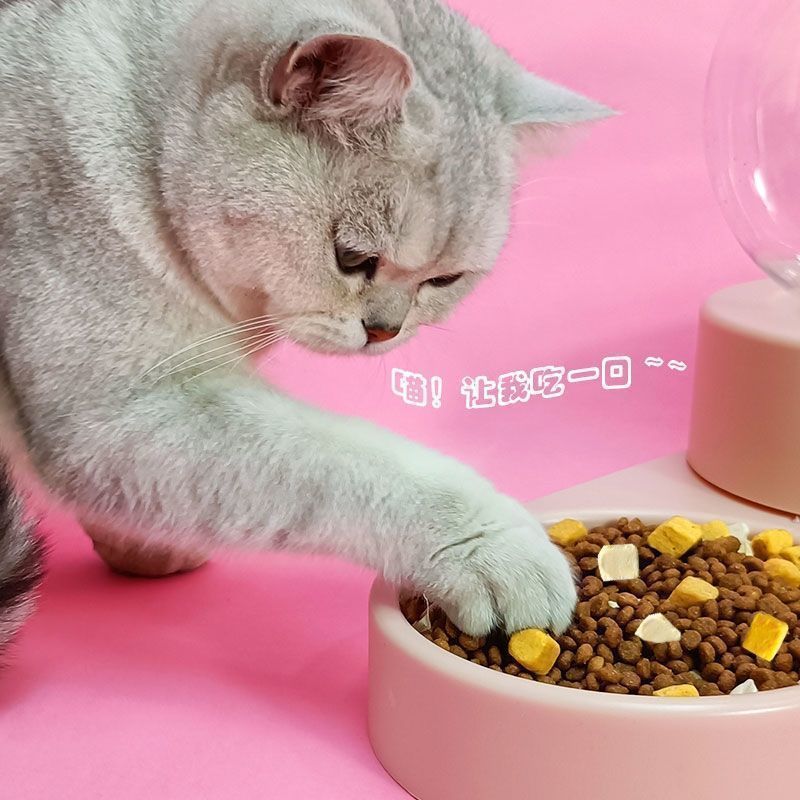 6acc4a96-4296-4b4e-afb5-4a9cb0ee5211.jpe