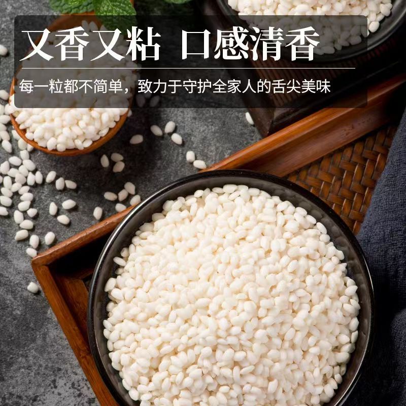 圆粒白糯米东北新鲜长粒糯米包粽子的糯米珍珠纯糯米白糯米500克|undefined