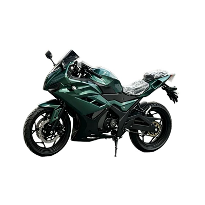 Racing High-Speed Electric Bike, Elektrikli motosikletlər