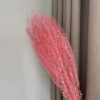Pink green fan (about 50 grams)