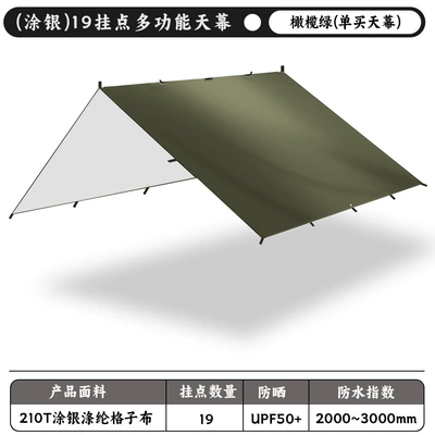 Avtomobil yan çətirləri Multi-Point Canopy Tent with - silver-coated-model-210t-polyester-cloth-olive-green-single-canopy-33m