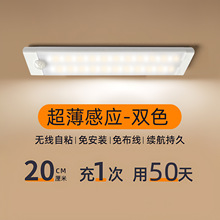 �羳����2023��������¹��led�����ӦСҹ�ƴ���糤������