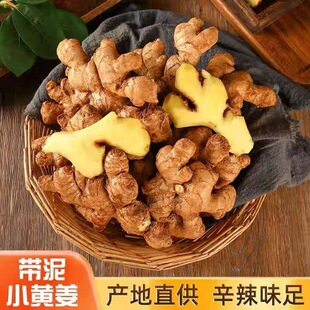�����С�S��5�����r�����Ͻ��F�ڸ�ɽ�����۽������߲��_ƽ���]