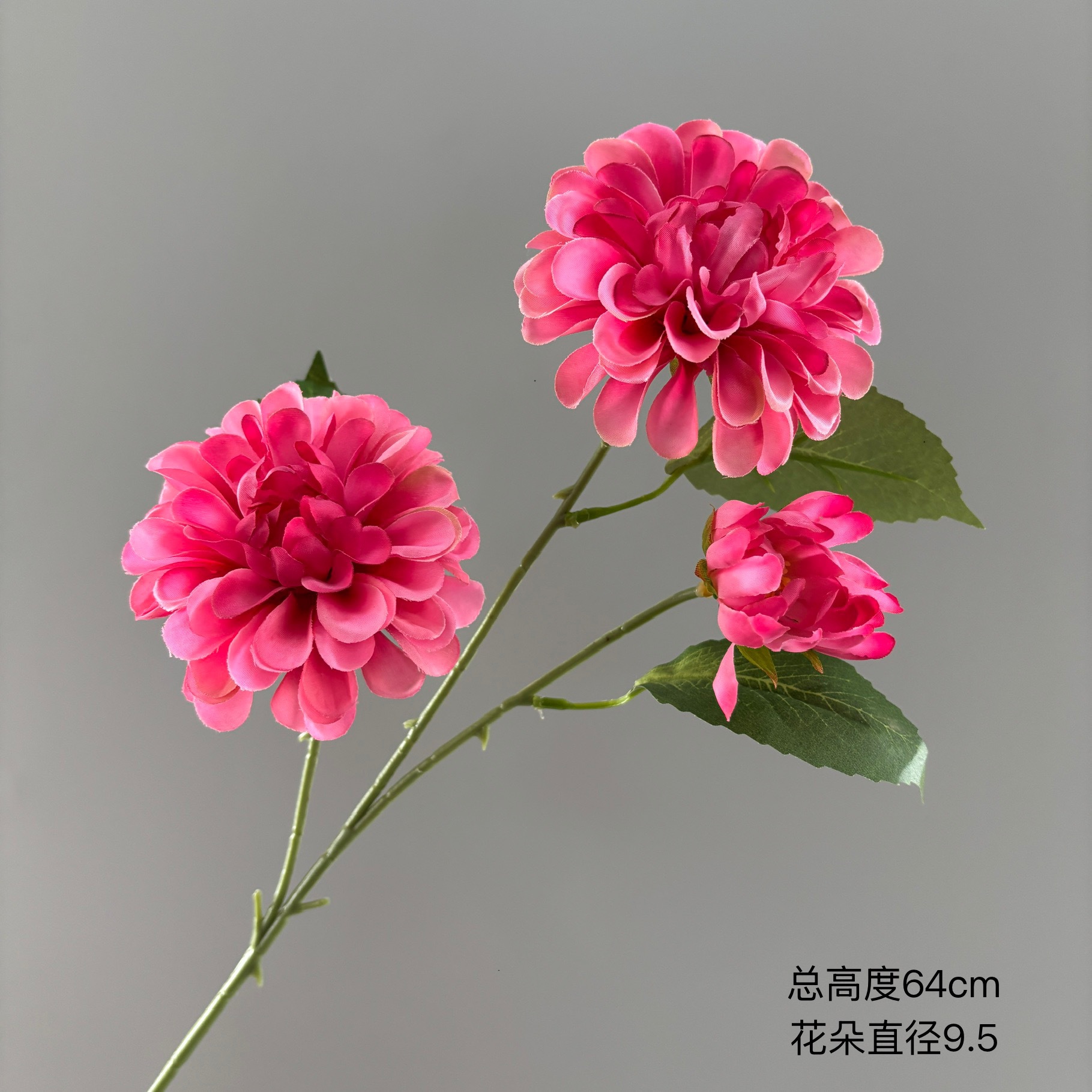 어두운 향기 3개