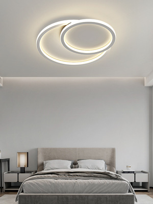 2021新款简约现代风格主卧室房间led吸顶灯温馨创意照明铁艺灯具|ms