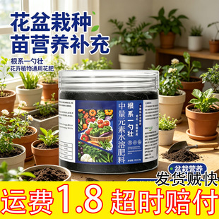 �����҃��B�����Ը�ϵһ�׉ѻ���ֲ�ﻨ�ʠI�B�������ԷN����ٴ�