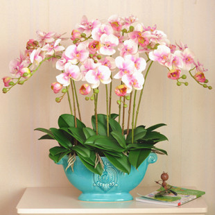 �����m���玧�����͏d�҃��ļ����Ի��ܾGֲ�����_���m���玧����