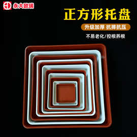 厂家正方形花盆托盘塑料花盆底垫方形接水盘多色加厚花盆托底托盘