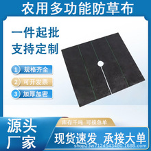 防草布pp90g亚马逊批发跨境农用透水透气加厚加密果树园除草地布