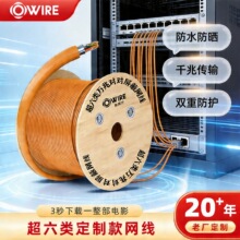 ��������ξW��CAT6A�o���~UTPϵ�y���ɹ��̾W�j�����̌���