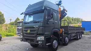 Manufacturer of cross-border HOWO dump trucks, construction waste transporters, rear-tipping dumpers, and crane-equipped transport vehicles