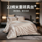 22姆米真丝床上四件套跨境轻奢桑蚕丝床品丝绸纯色床上用品套件