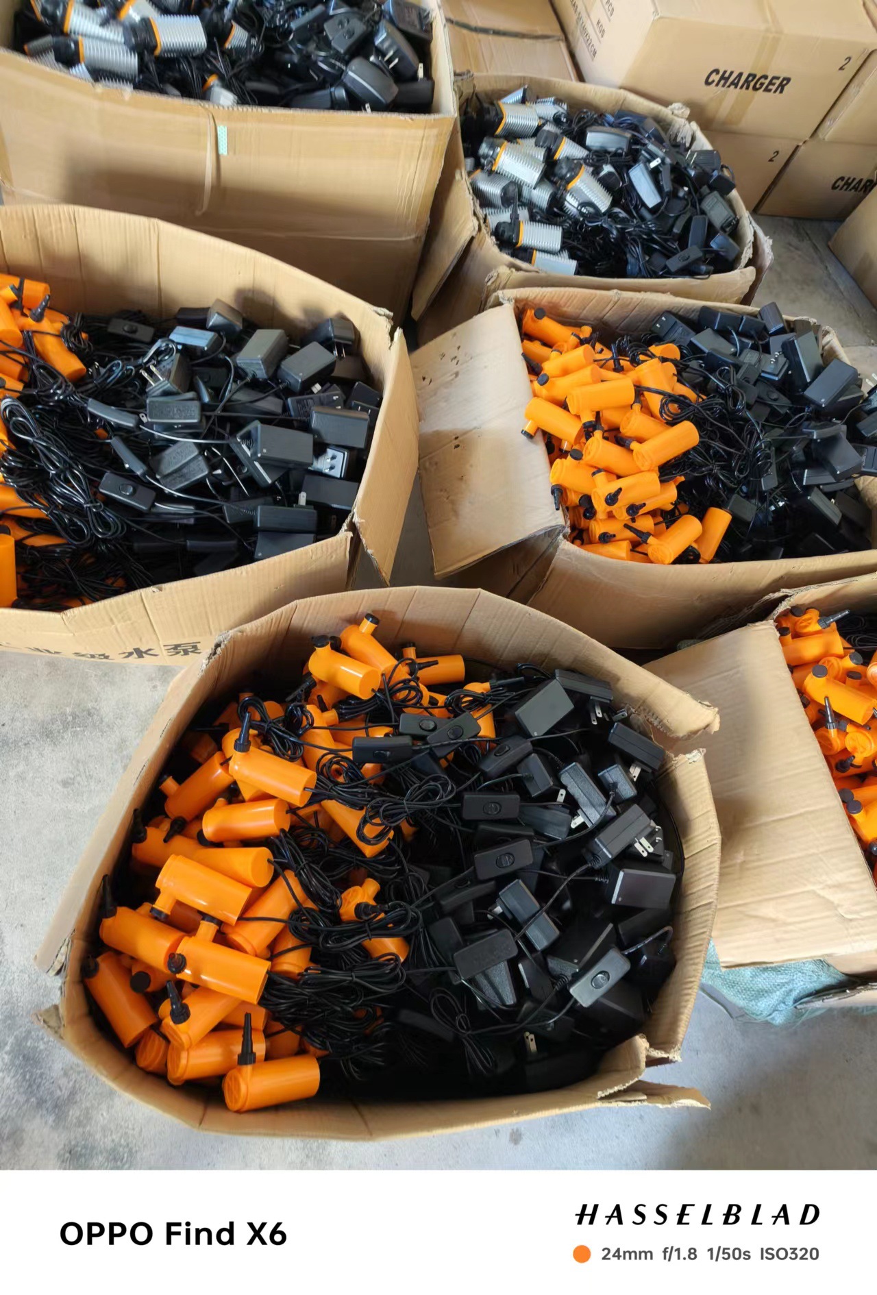 微信图片_20231026100252