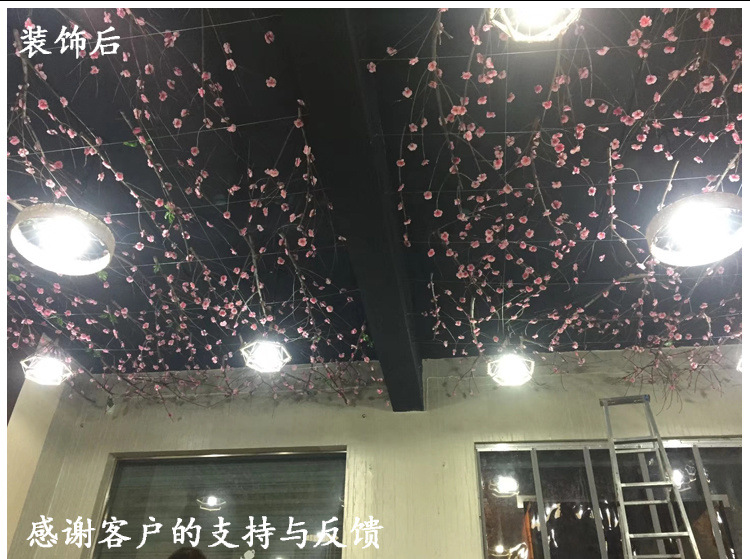 O1CN011T1yX3WZCZzabY8_!!776872