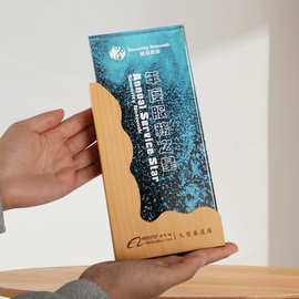 实木水晶奖杯定制定做优秀员工年会礼品创意木质奖牌订制免费刻字