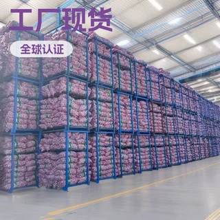 紫皮蒜出非洲中东澳洲多种规格网袋包装纸箱包装大量现货出口品质
