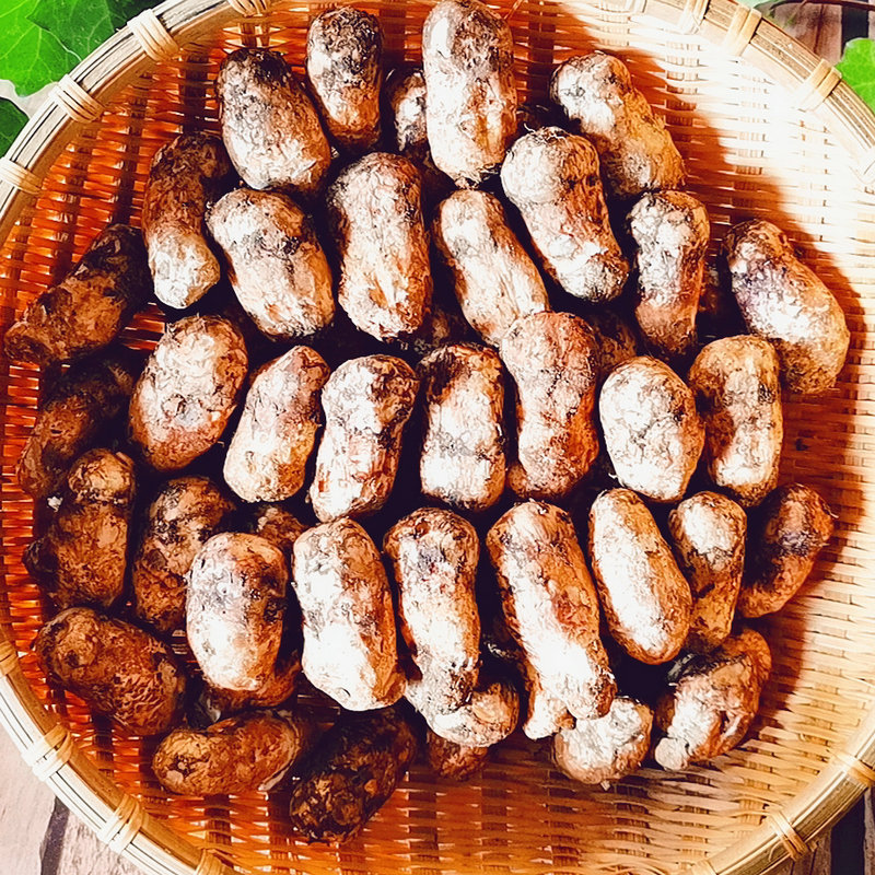 香格里拉野生新鲜松茸现货云南特产食用菌直发产地新鲜批发一斤装