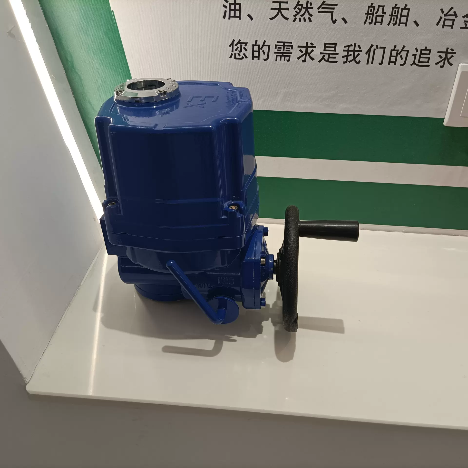 QT30智能防爆BT4调节型DQW30角行程自动化驱动装置RS-485总线型