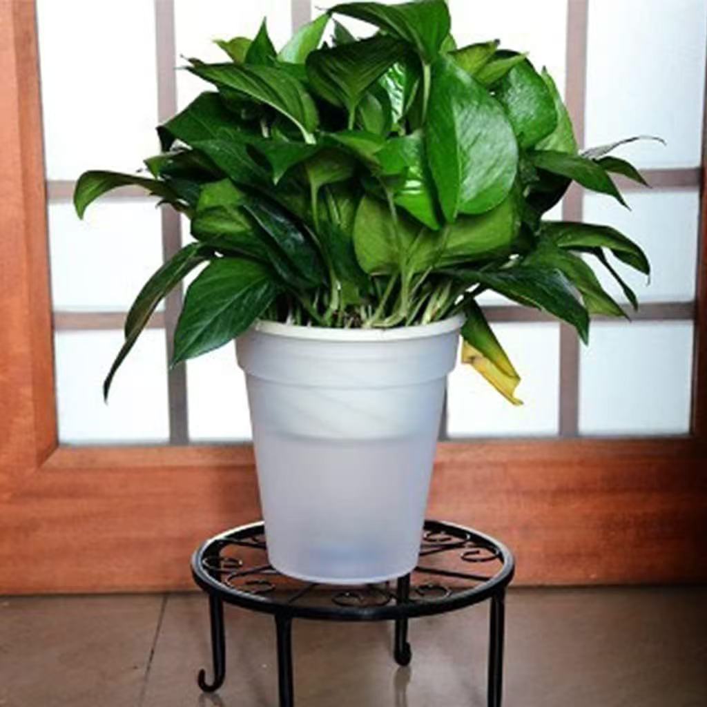 �¿�Ӽ���ֲֲ������С����� ����̫���ܷ�ˮͥԺ���۵�