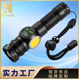 手电筒;头灯头戴电筒;提灯