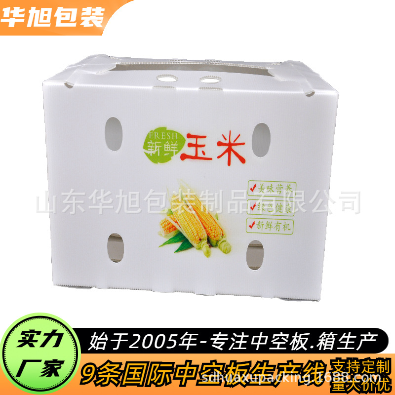山东华旭 供应PP中空板玉米出口钙塑箱 食品出口折叠一体包装箱