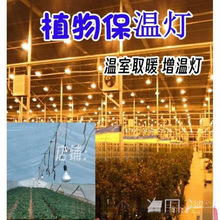 �»��܄�ֲ��̫ꖹⱣ�ؾGֲ�߲˟�������Ҽt�⾀��ȡů���؟�