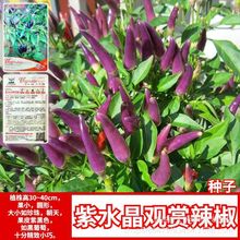 ��ˮ���^�p���N��ʳ���^�p�����N���҃����̨�����׻�ﲥ