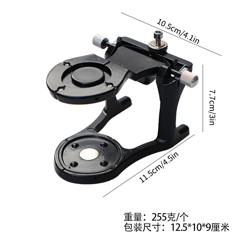 Modelo de irrigación de dientes grandes y pequeños de la técnica de la cavidad oral promedio de descomposición de planillación de la técnica